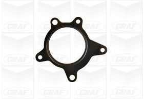 PA1136 GRAF Насос водяной KIA SOUL/CEED/CERATO/HYUNDAI ELANTRA/I30 (10013160/161219/0548568/2)